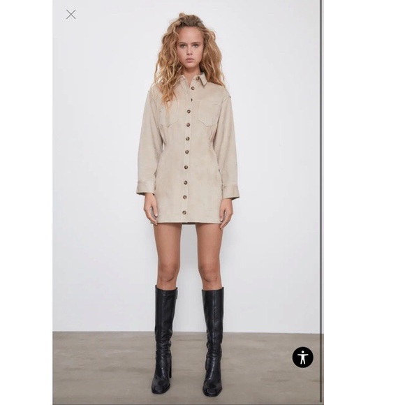 ZARA Faux Suede Dress - Picture 4 of 8